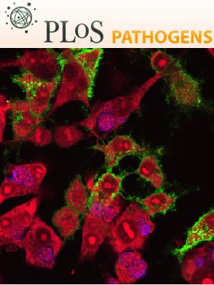Cover of PLOS Pathogens, featuring study using the protocol.