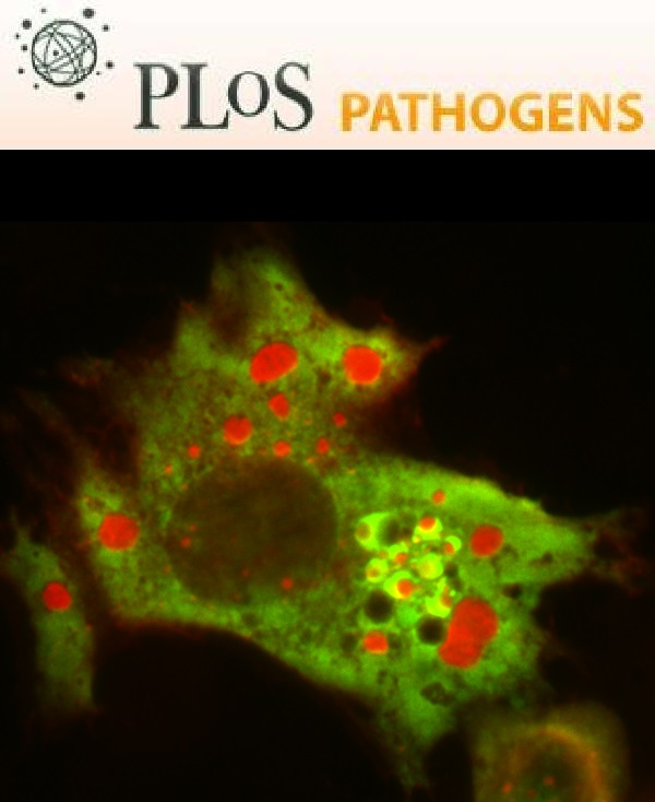 Cover of PLOS Pathogens, featuring study using the protocol.