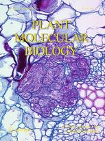 Cover of Plant Molecular Biology, featuring study using the protocol.