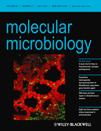 Cover of Molecular Microbiology, featuring study using the protocol.