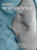 Cover of Nature Neuroscience, featuring study using the protocol.