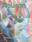 Cover of Neuron, featuring study using the protocol.