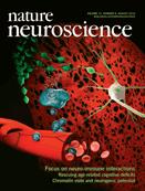 Cover of Nature Neuroscience, featuring study using the protocol.