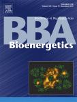 Cover of Biochimica et Biophysica Acta, featuring study using the protocol.