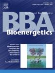 Cover of Biochimica et Biophysica Acta, featuring study using the protocol.