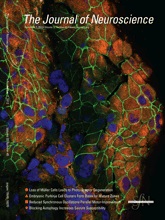 Cover of The Journal of Neuroscience, featuring study using the protocol.