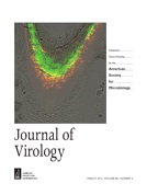 Cover of Journal of Virology, featuring study using the protocol.