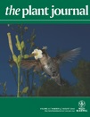 Cover of The Plant Journal, featuring study using the protocol.