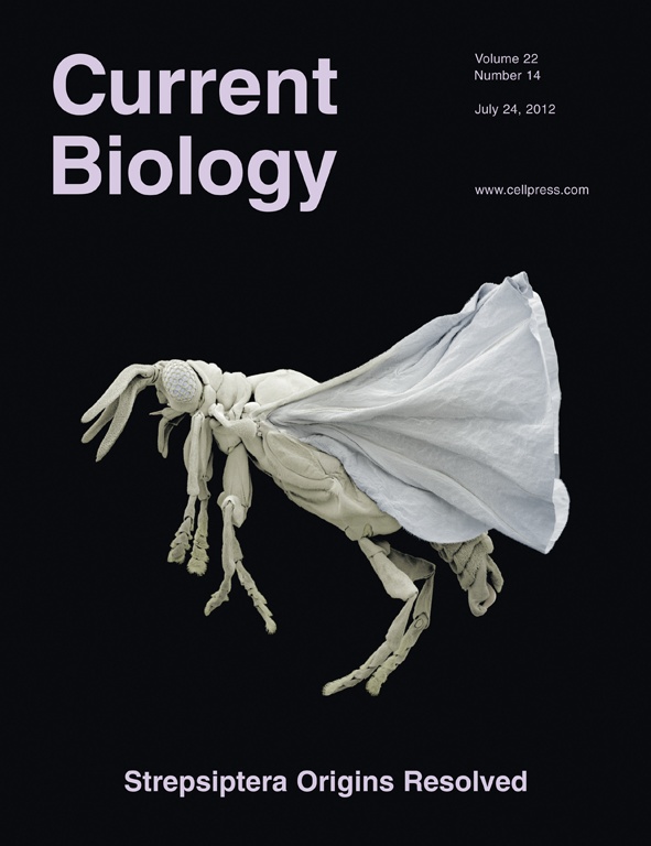 Cover of Current Biology, featuring study using the protocol.