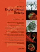 Cover of Journal of Experimental Botany, featuring study using the protocol.