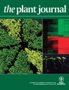 Cover of The Plant Journal, featuring study using the protocol.
