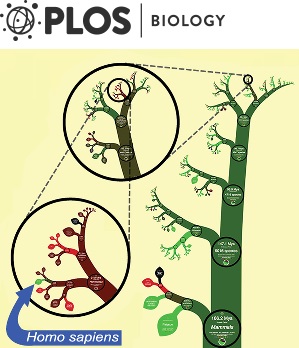Cover of PLOS Biology, featuring study using the protocol.