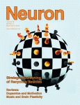 Cover of Neuron, featuring study using the protocol.