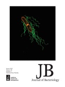 Cover of Journal of Bacteriology, featuring study using the protocol.