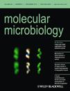 Cover of Molecular Microbiology, featuring study using the protocol.