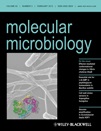 Cover of Molecular Microbiology, featuring study using the protocol.