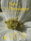 Cover of New Phytologist, featuring study using the protocol.