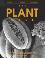 Cover of The Plant Cell, featuring study using the protocol.