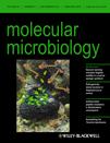 Cover of Molecular Microbiology, featuring study using the protocol.
