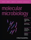 Cover of Molecular Microbiology, featuring study using the protocol.