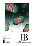 Cover of Journal of Bacteriology, featuring study using the protocol.
