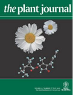 Cover of The Plant Journal, featuring study using the protocol.