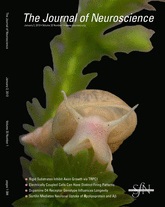 Cover of The Journal of Neuroscience, featuring study using the protocol.