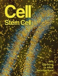 Cover of Cell Stem Cell, featuring study using the protocol.