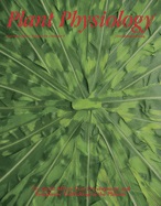 Cover of Plant Physiology, featuring study using the protocol.