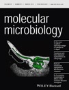 Cover of Molecular Microbiology, featuring study using the protocol.