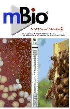 Cover of mBio, featuring study using the protocol.