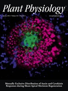 Cover of Plant Physiology, featuring study using the protocol.