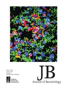 Cover of Journal of Bacteriology, featuring study using the protocol.