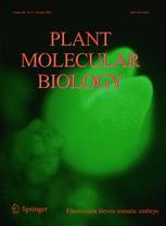 Cover of Plant Molecular Biology, featuring study using the protocol.