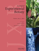 Cover of Journal of Experimental Botany, featuring study using the protocol.