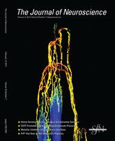Cover of The Journal of Neuroscience, featuring study using the protocol.