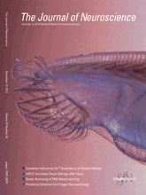 Cover of The Journal of Neuroscience, featuring study using the protocol.