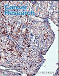 Cover of Cancer Research, featuring study using the protocol.