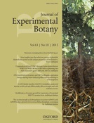 Cover of Journal of Experimental Botany, featuring study using the protocol.