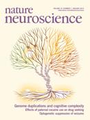 Cover of Nature Neuroscience, featuring study using the protocol.