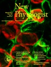 Cover of New Phytologist, featuring study using the protocol.