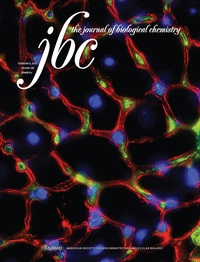 Cover of The Journal of Biological Chemistry, featuring study using the protocol.
