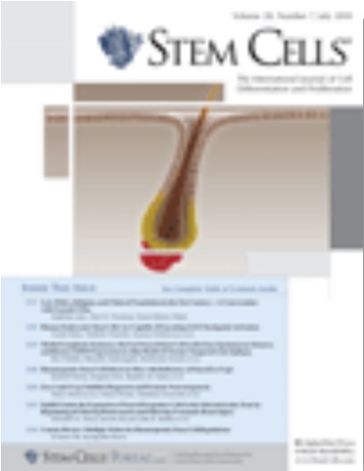 Cover of Stem Cells, featuring study using the protocol.
