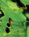 Cover of New Phytologist, featuring study using the protocol.