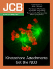 Cover of The Journal of Cell Biology, featuring study using the protocol.