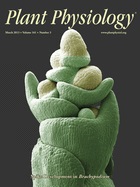 Cover of Plant Physiology, featuring study using the protocol.