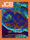 Cover of The Journal of Cell Biology, featuring study using the protocol.