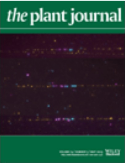 Cover of The Plant Journal, featuring study using the protocol.