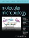 Cover of Molecular Microbiology, featuring study using the protocol.