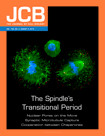 Cover of The Journal of Cell Biology, featuring study using the protocol.